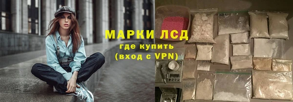 крисы Липки