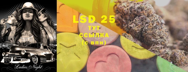 прущие грибы Новочеркасск